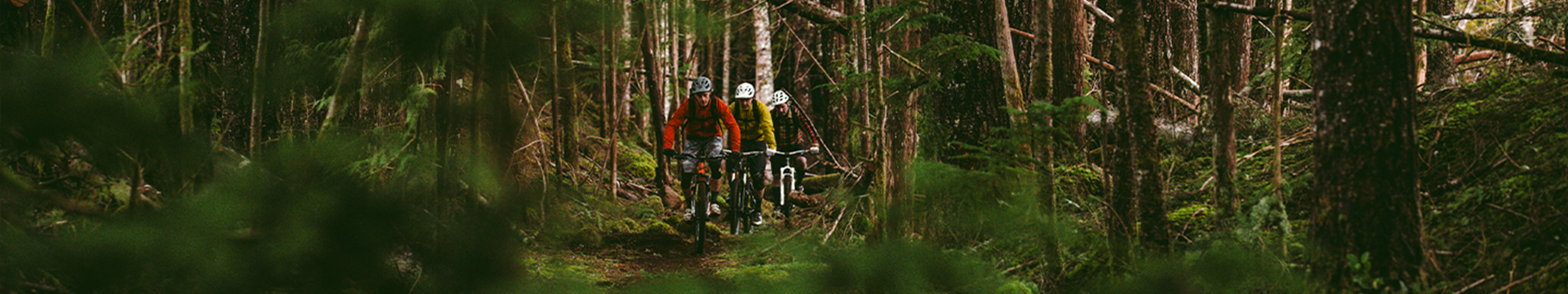 sram nx 1x11 drivetrain