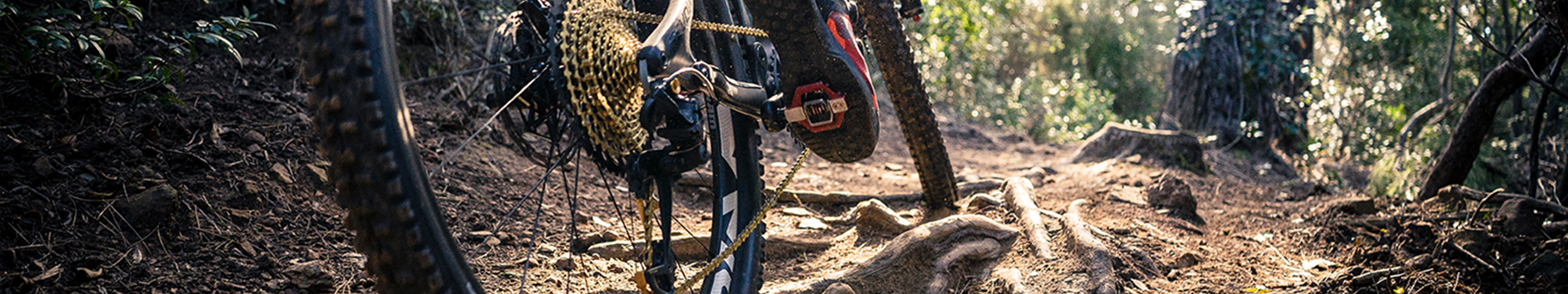 Cassettes | SRAM