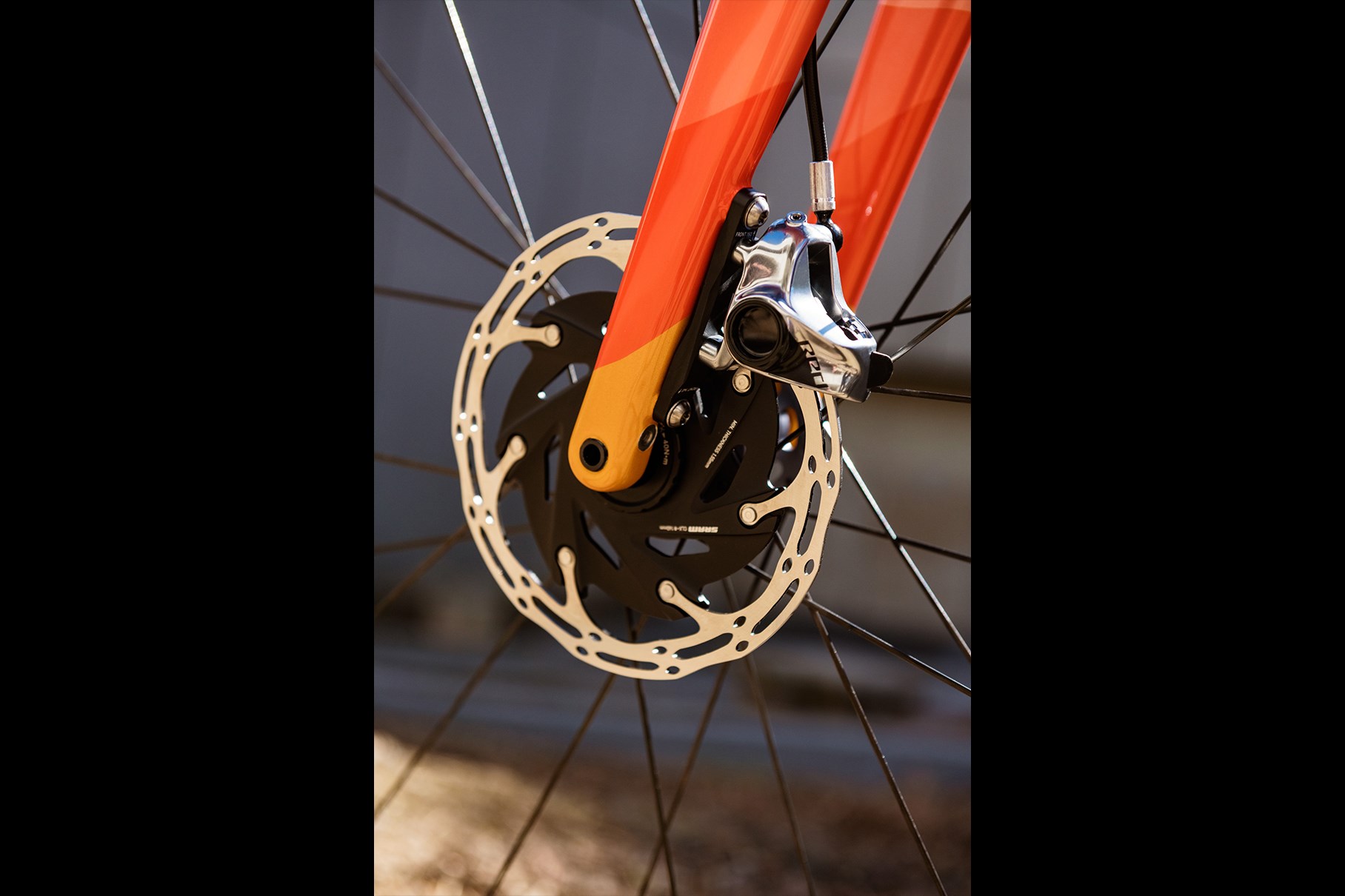 Moots Routt Gallery 8