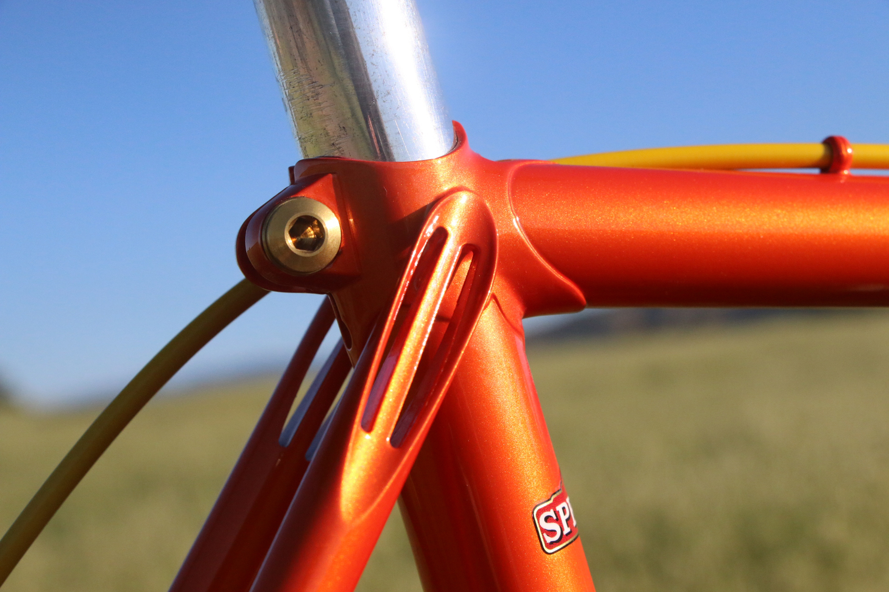 Masi cheap steel frame