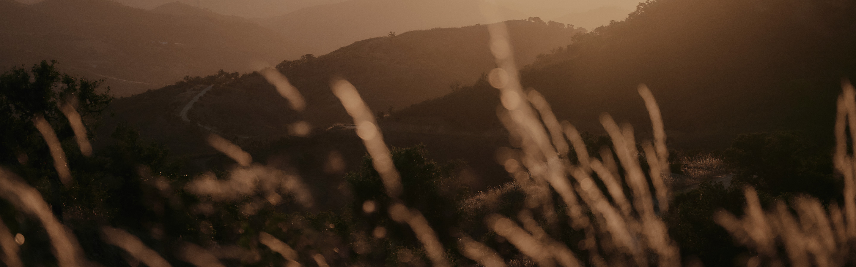 Series | SRAM