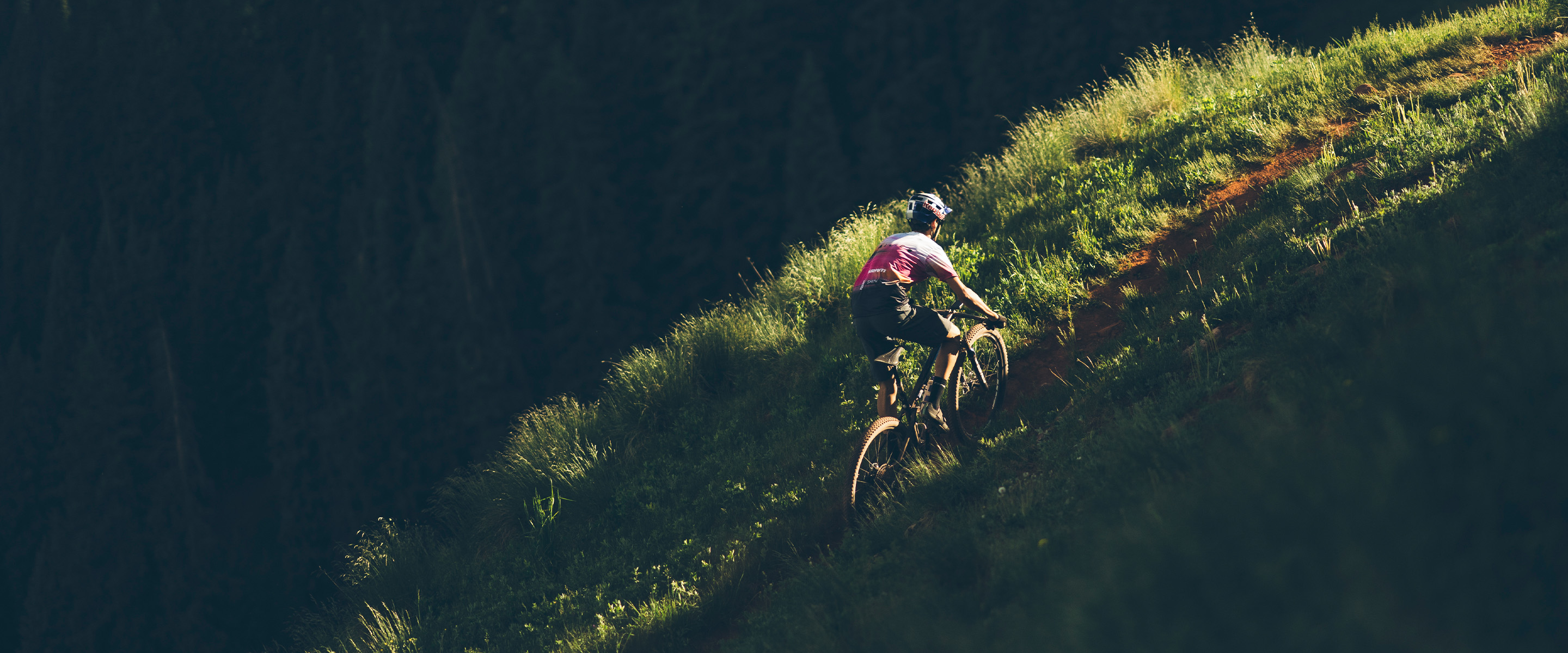 TyreWiz | Quarq TyreWiz | Quarq