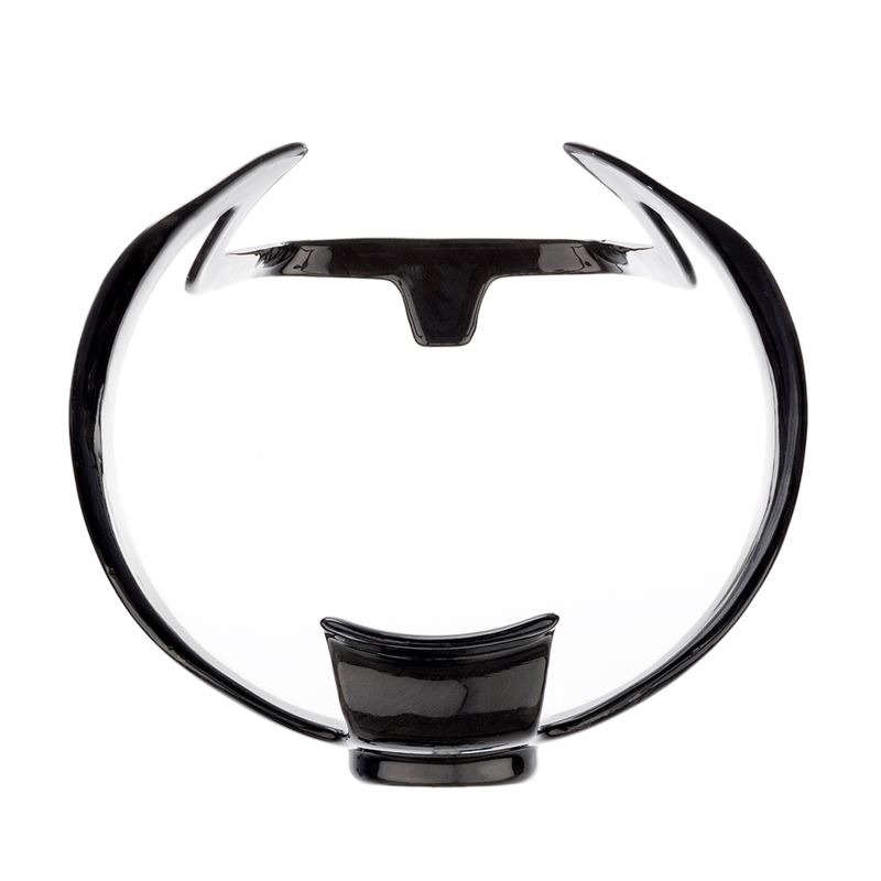 SL Speed Carbon Bottle Cage