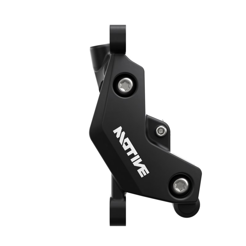Motive Bronze