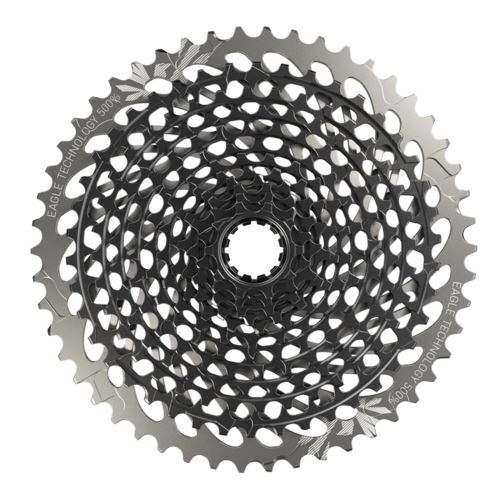 Related Image