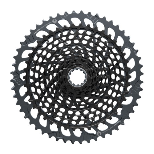 Related Image
