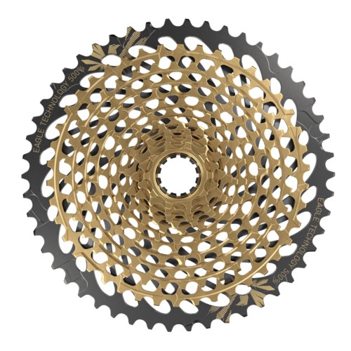 Related Image