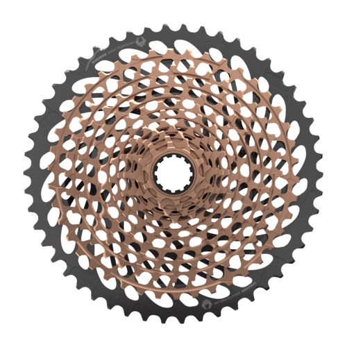 Related Image