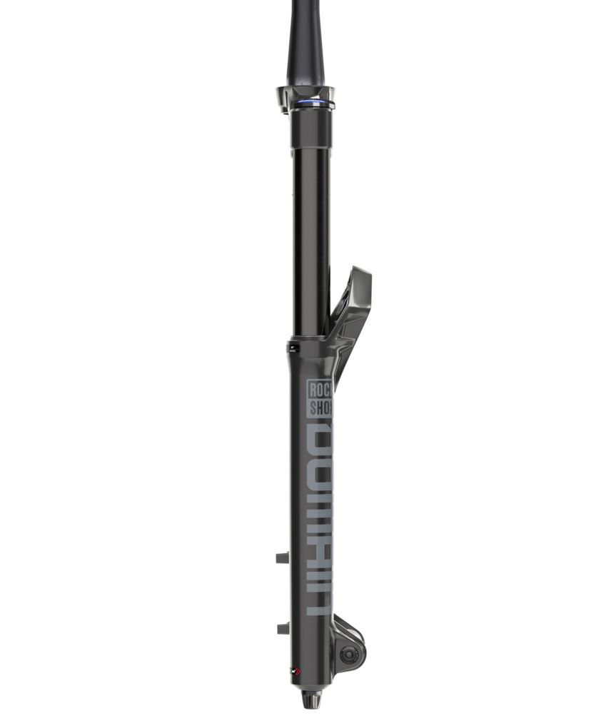 Rockshox domain online dual crown