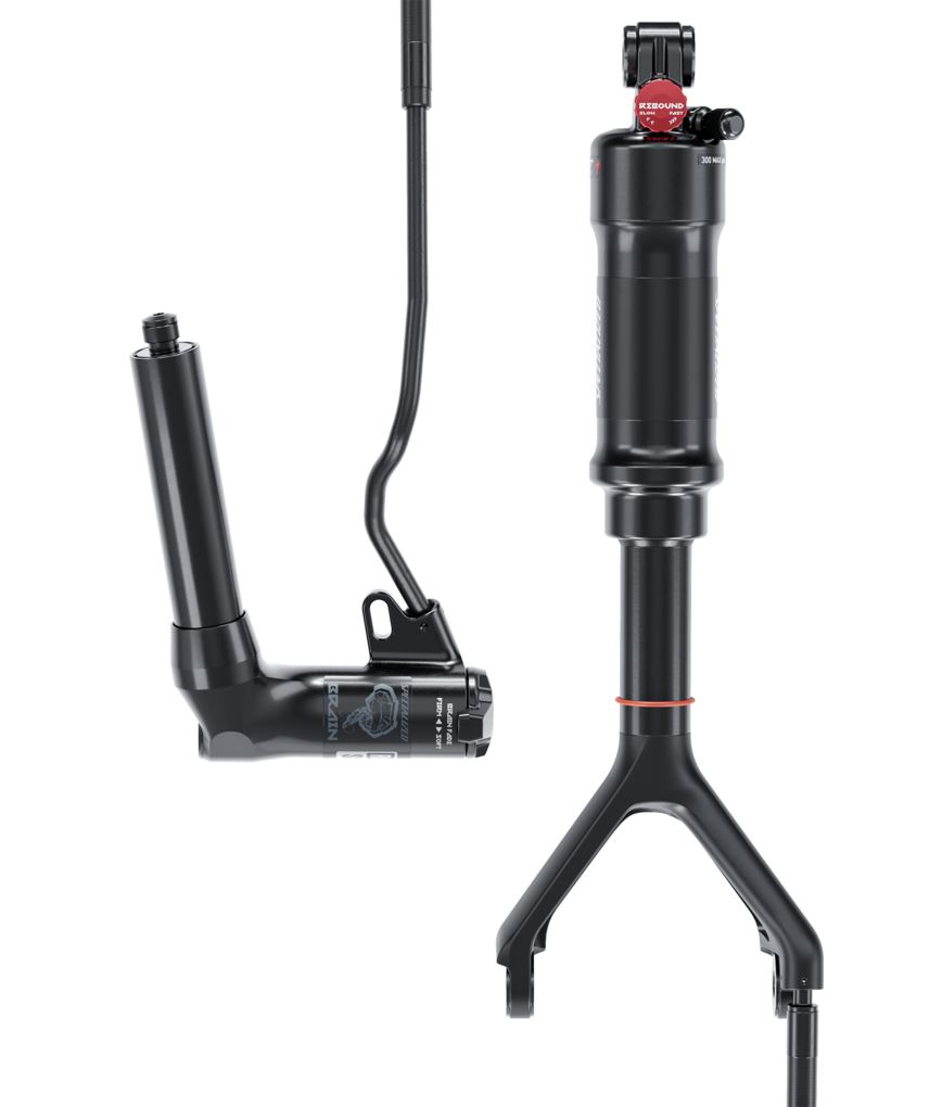 Specialized shock top