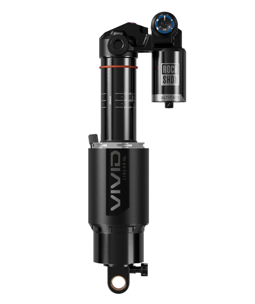 Vivid Ultimate DH