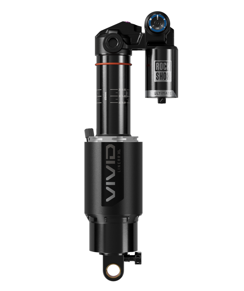 Vivid Ultimate DH