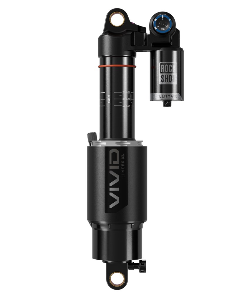 Vivid Ultimate DH