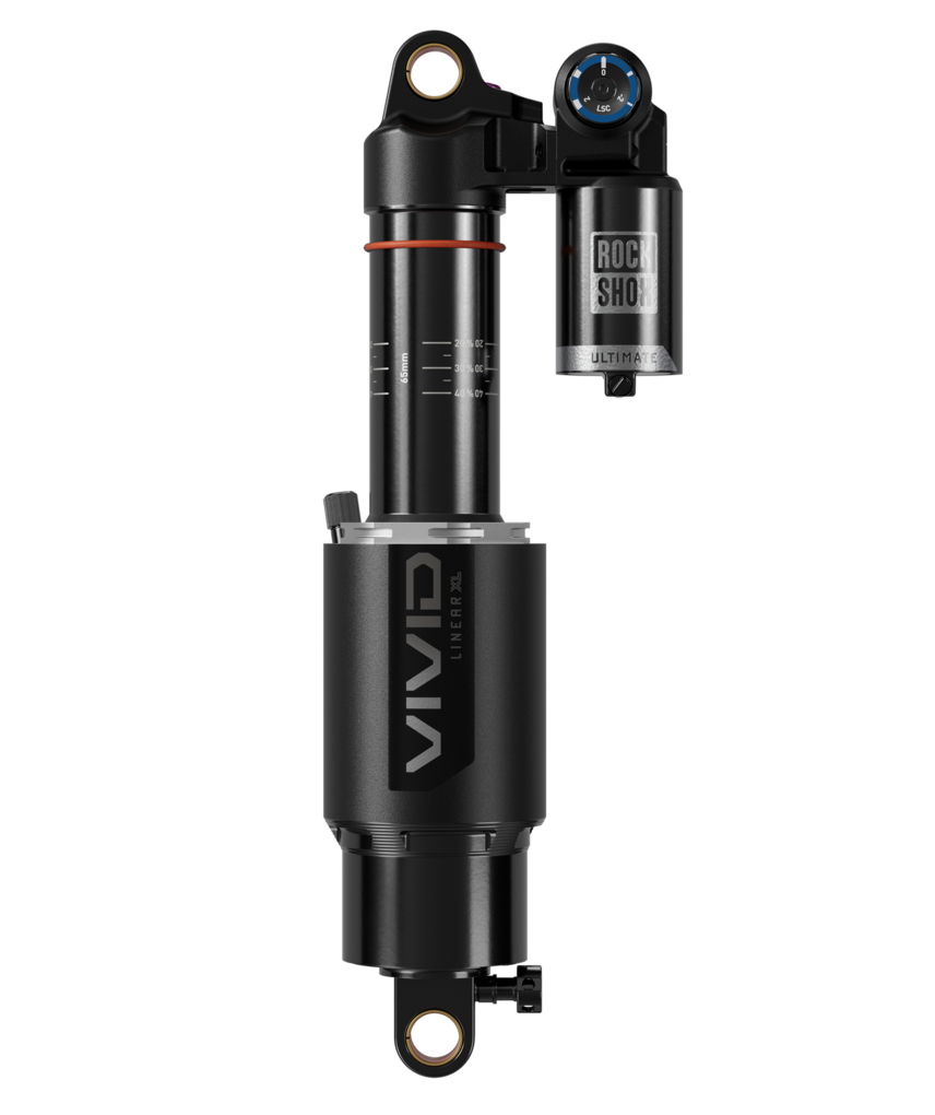 Vivid Ultimate DH