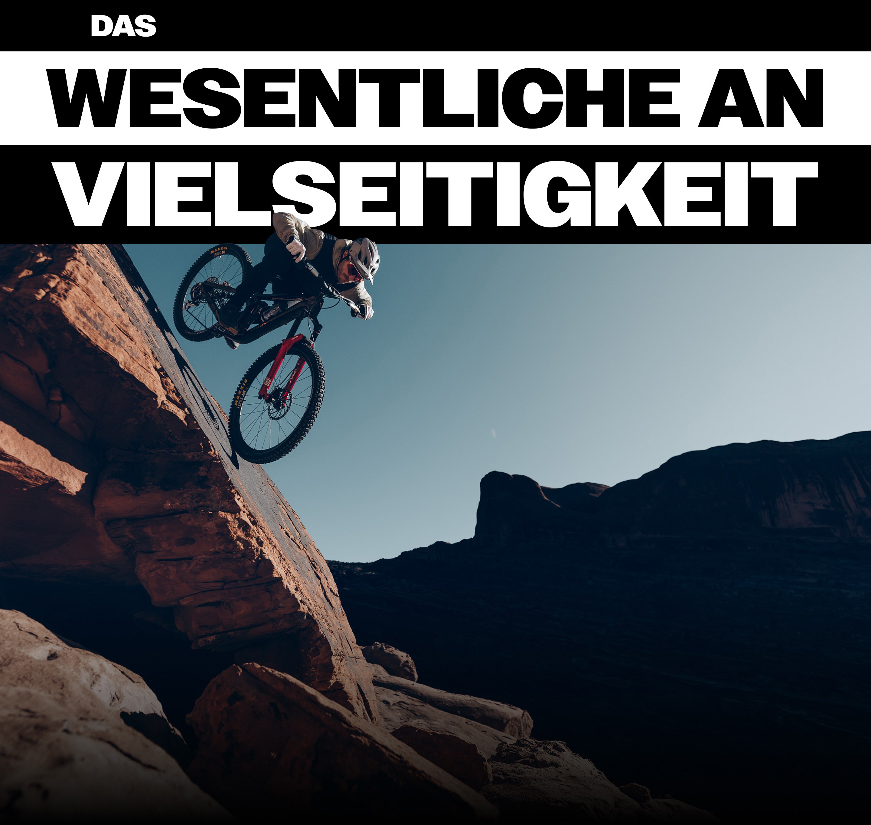 DIE GRUNDLAGEN VON LEISTUNGSFÄHIGKEIT