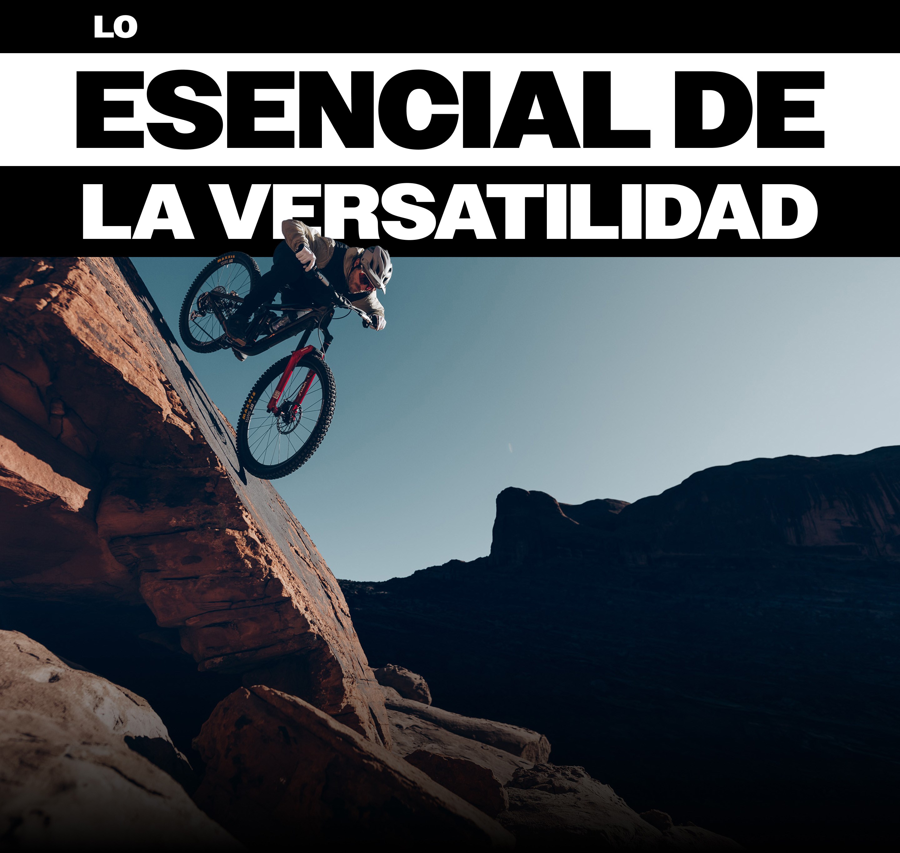 CAPACIDADES FUNDAMENTALES