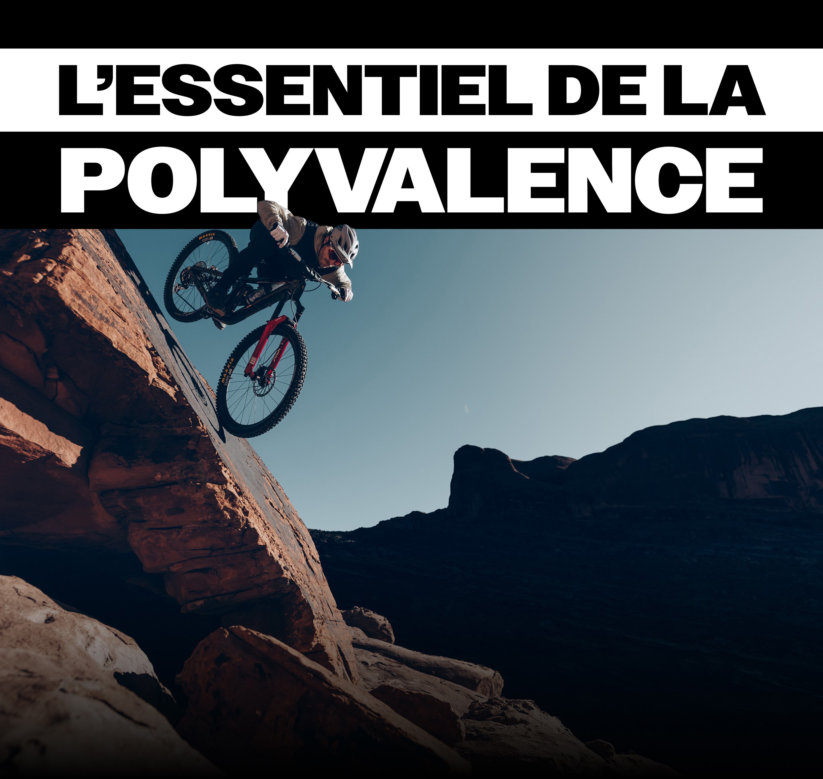 LES FONDEMENTS DE LA PERFORMANCE