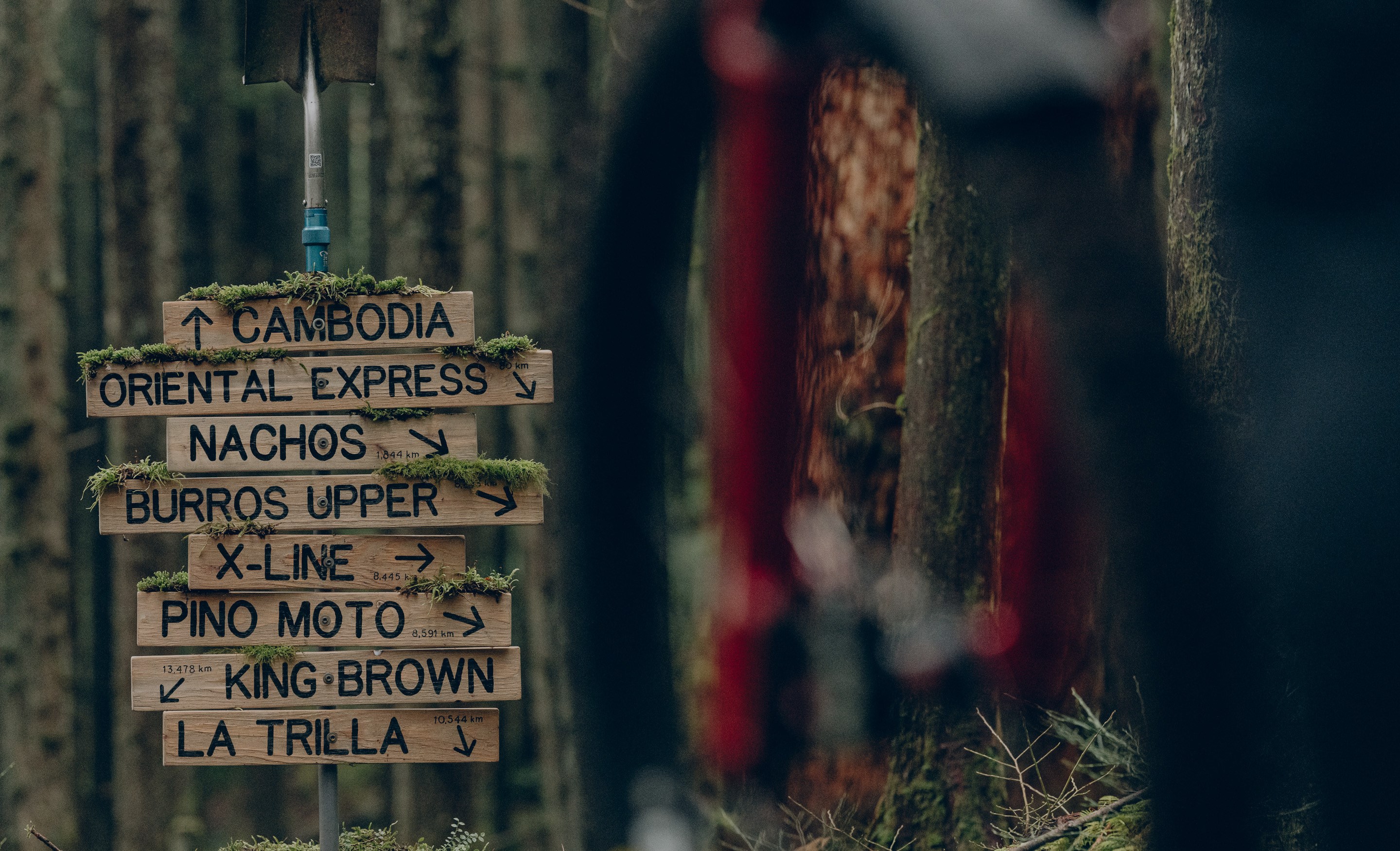 Trail sign with distance to popular trails around the world