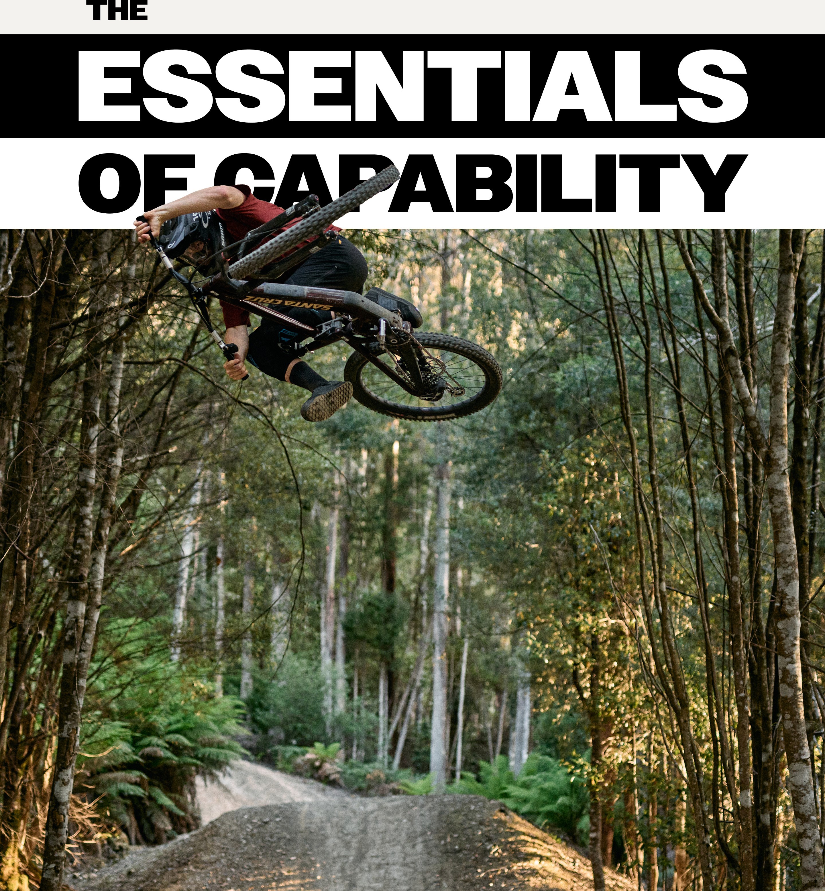 The Essentials of Capability