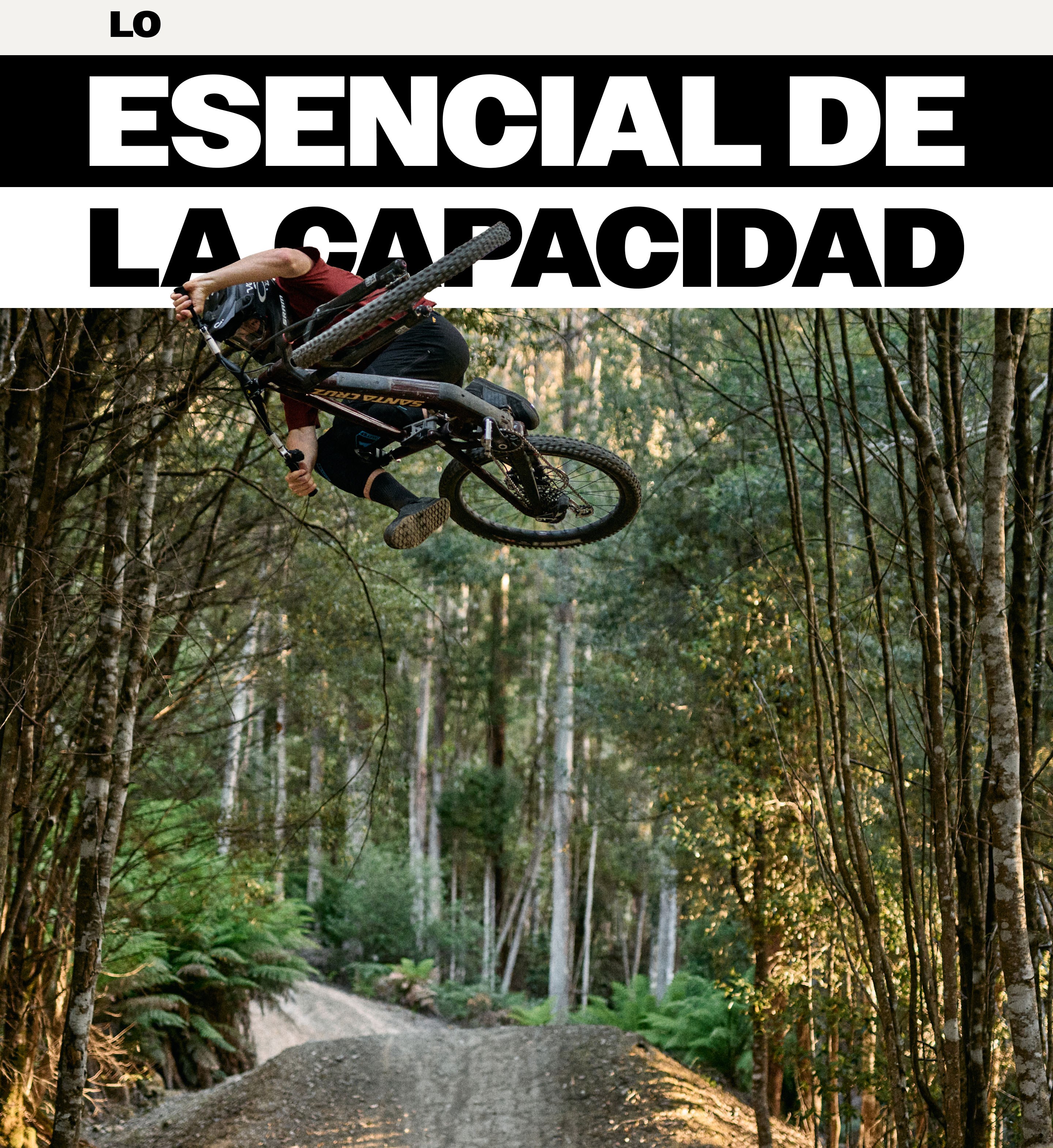 CAPACIDADES FUNDAMENTALES