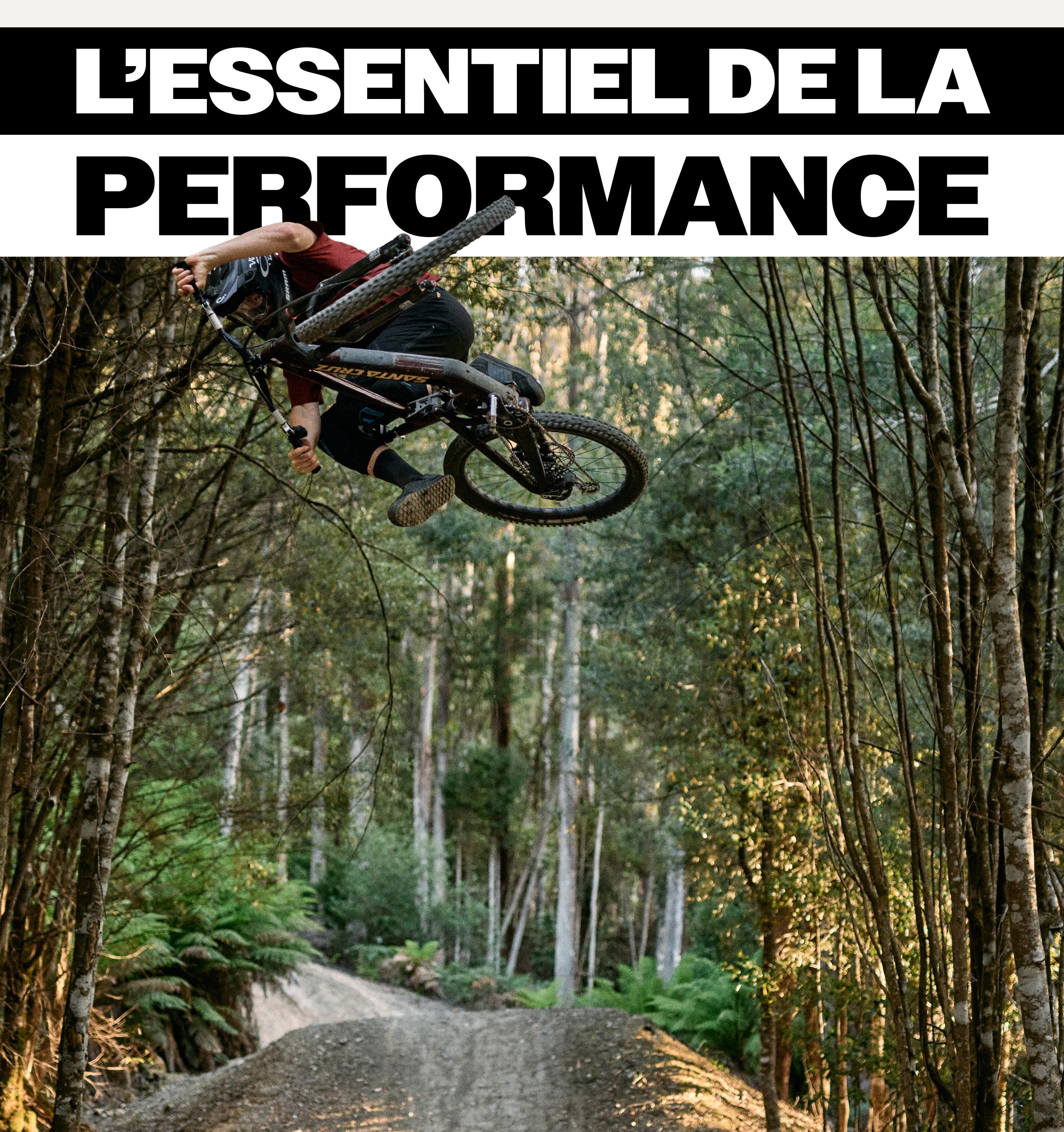 LES FONDEMENTS DE LA PERFORMANCE