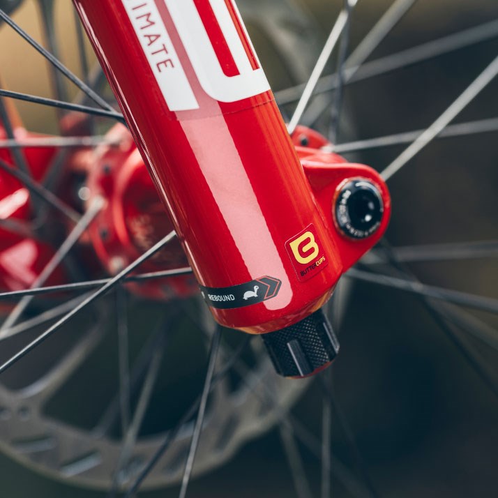 Detail shot of Buttercups logo on RED ZEB fork