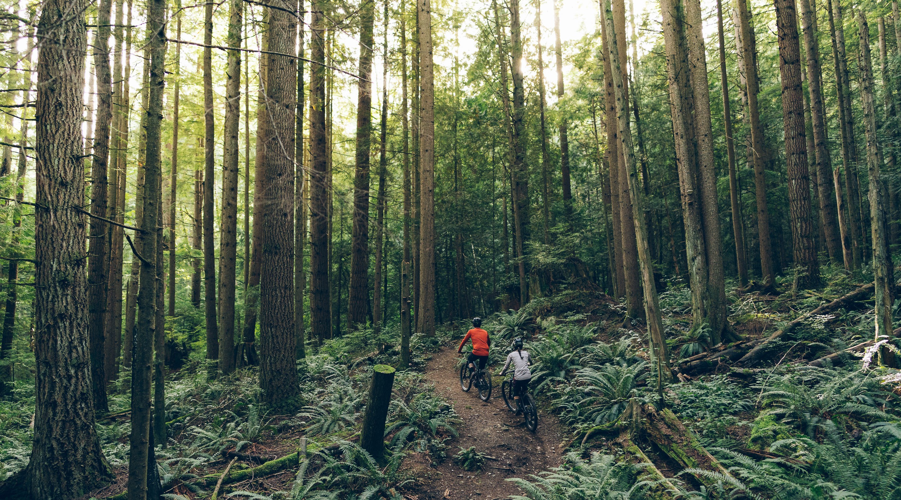 Dos ciclistas de E-MTBR pedaleando por el bosque con sus Transition Repeater PT equipadas con transmisión SRAM Eagle y tijas de sillín Reverb AXS.