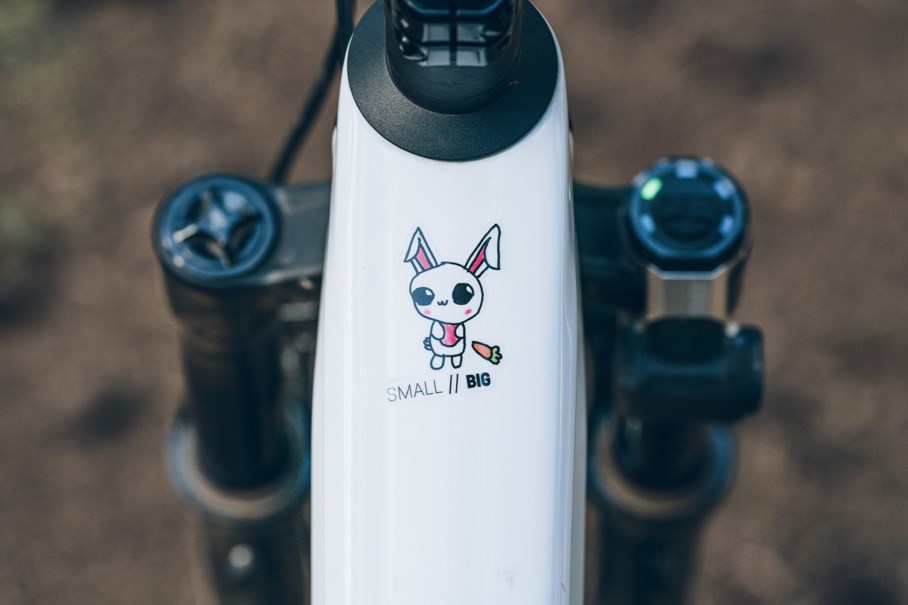 IG - Bike Check