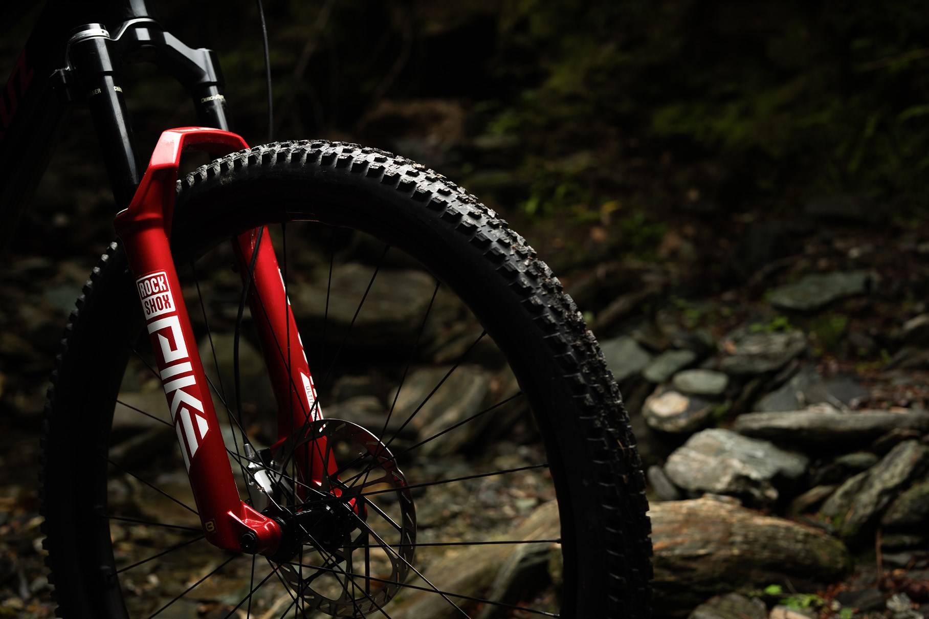 Ben Hildred Santa Cruz Tallboy