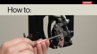 Related Image