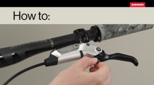 Related Image