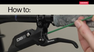Related Image