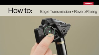 Related Image