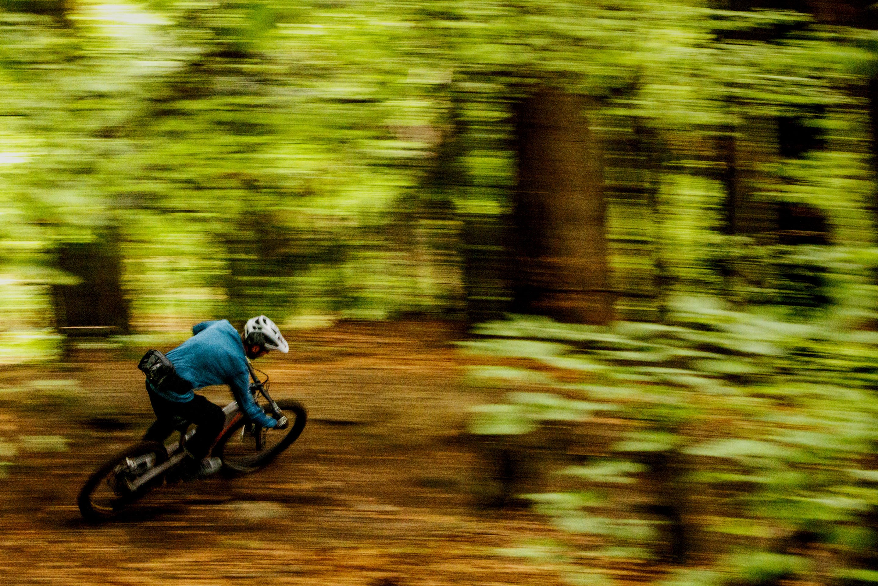 The workhorse that never complains