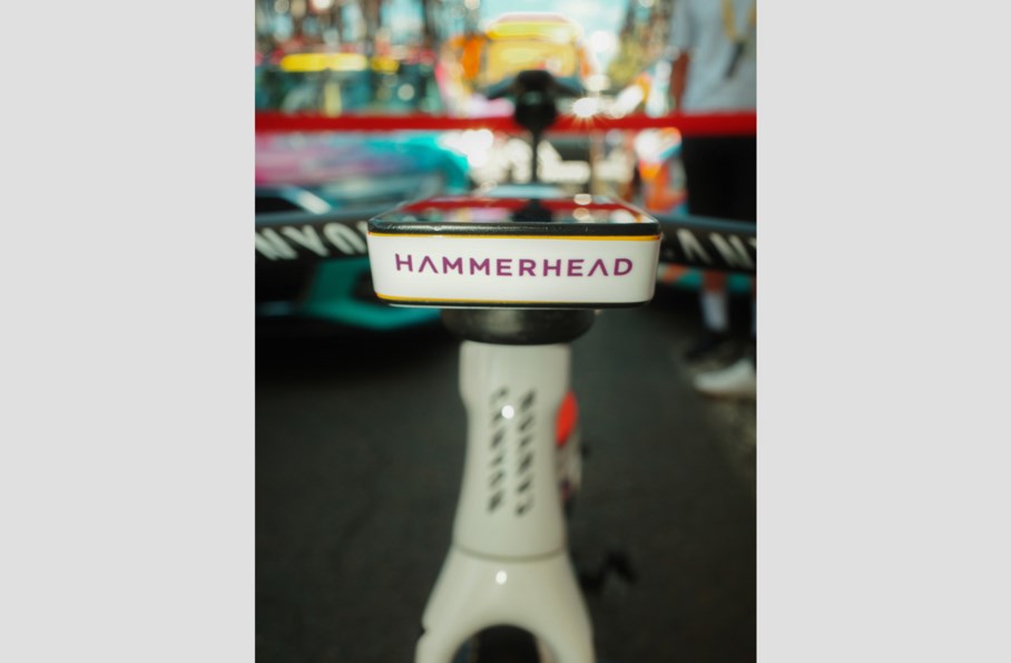 IG - White Bike Check