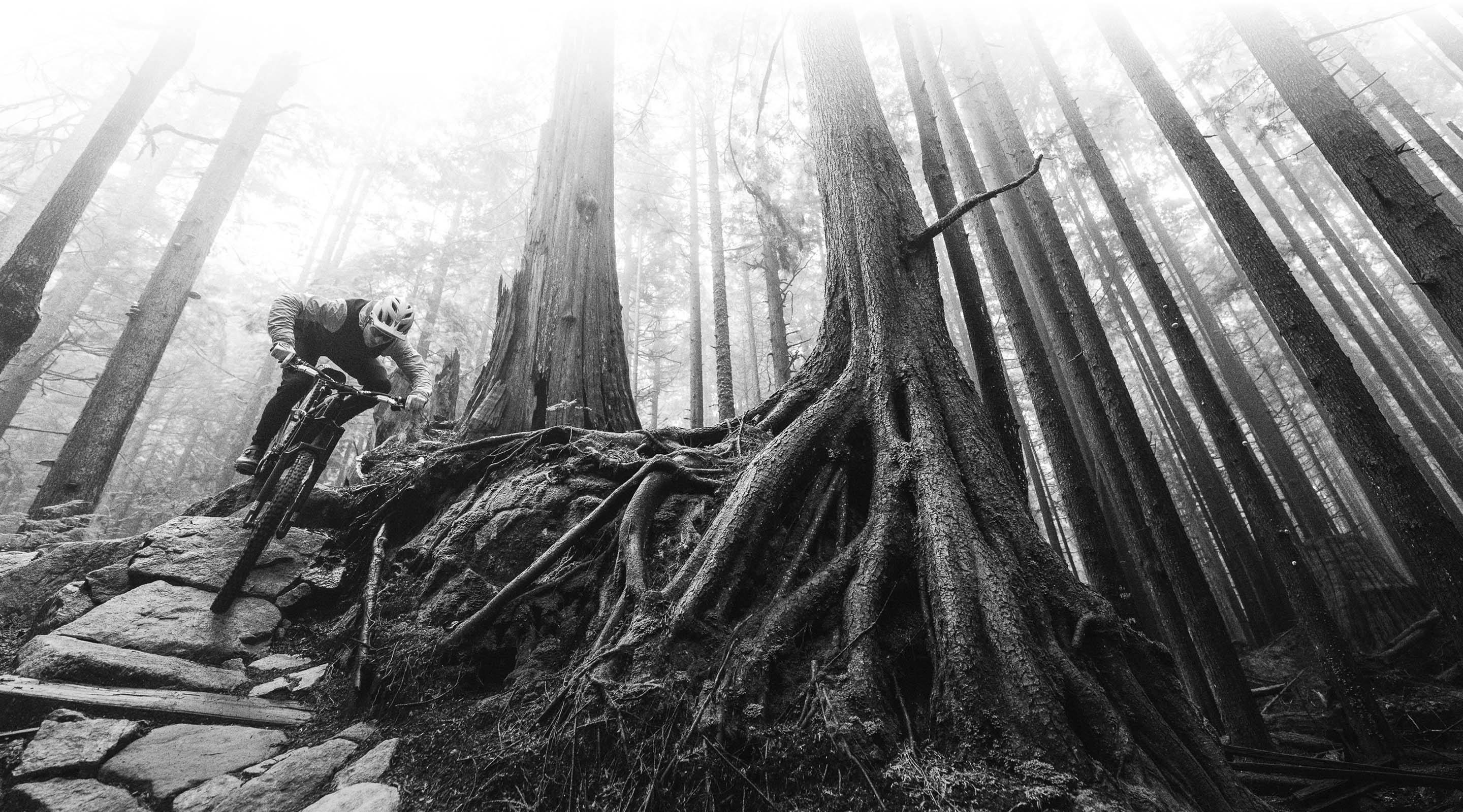 Black and white image of a MTB rider in mid air from below.