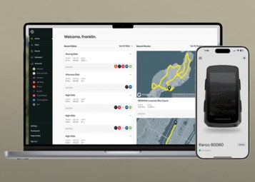 HAMMERHEAD ECOSYSTEM EXPLAINED