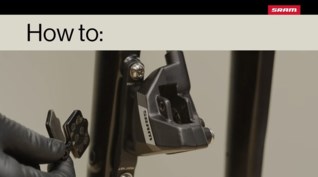 Related Image