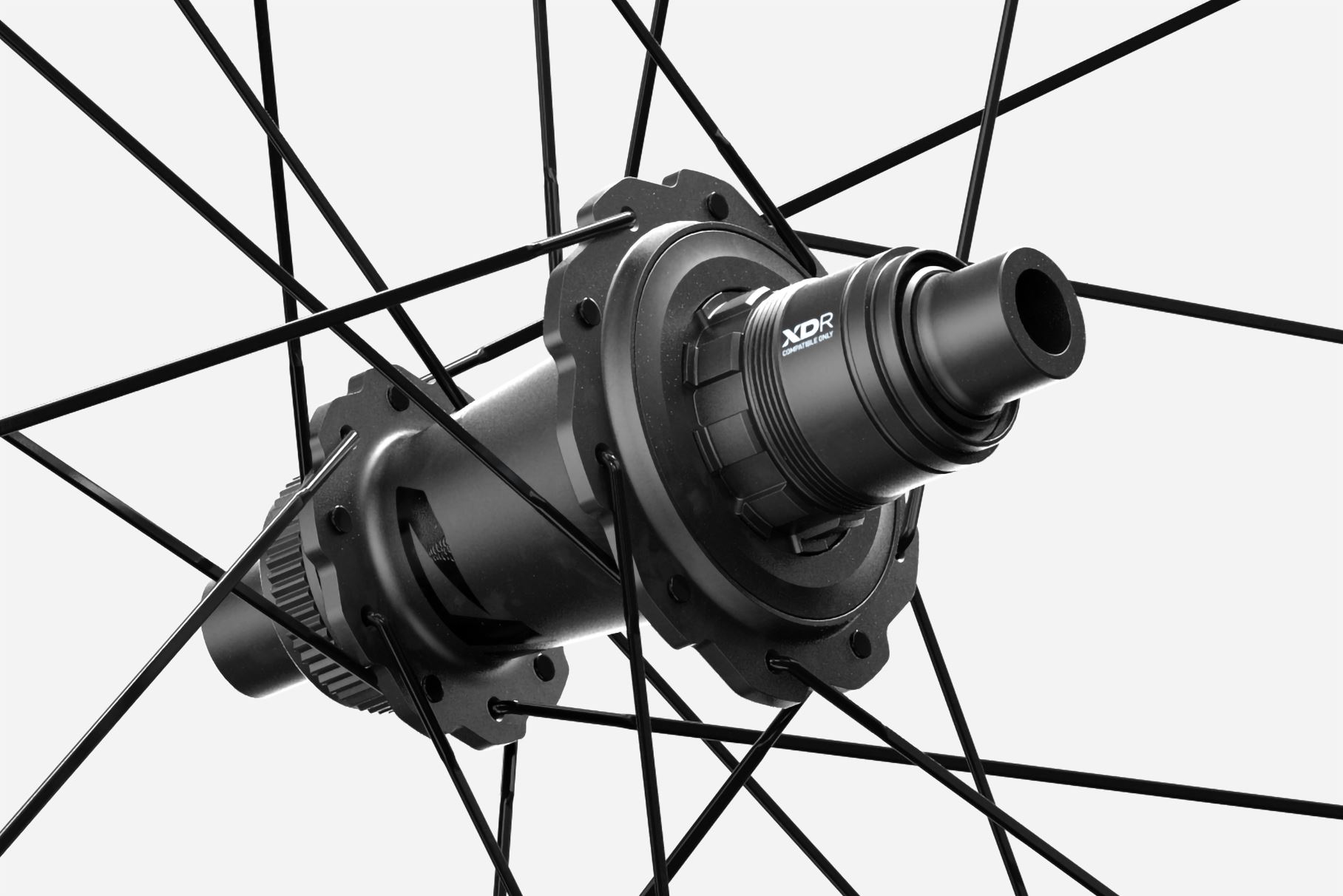 Cognition rear hub