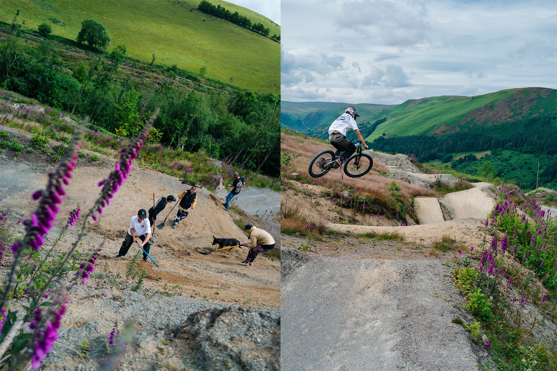 dig and jump