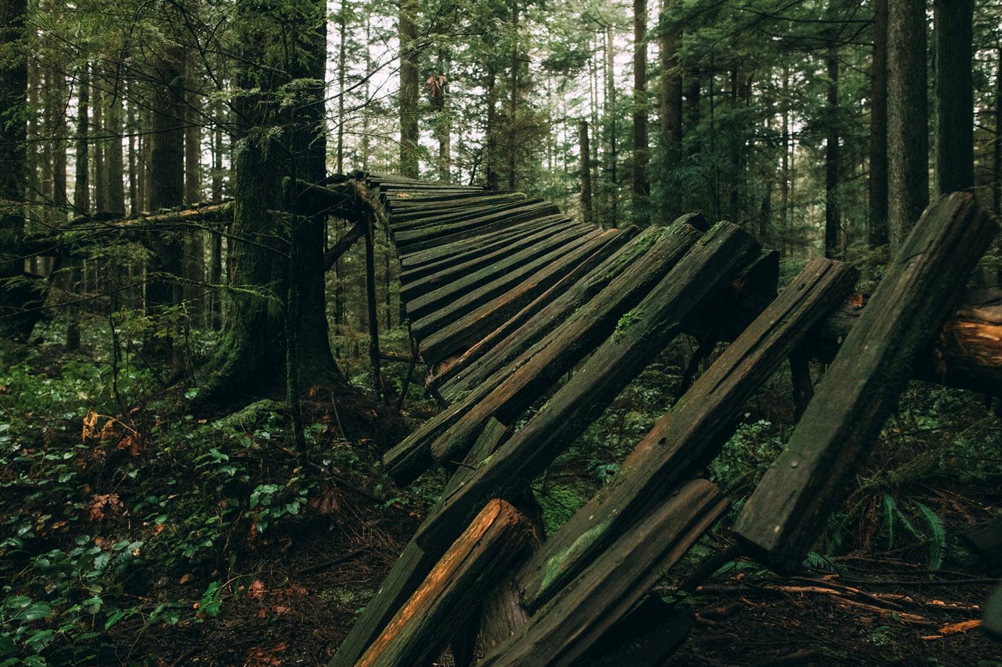 Decaying Bridge