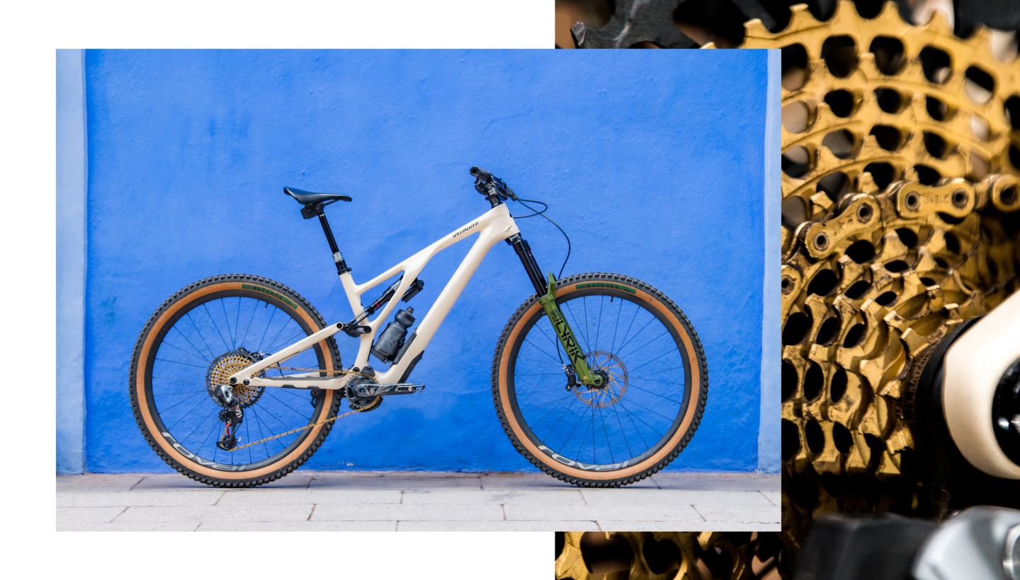 Eric Arce's Stumpjumper Evo