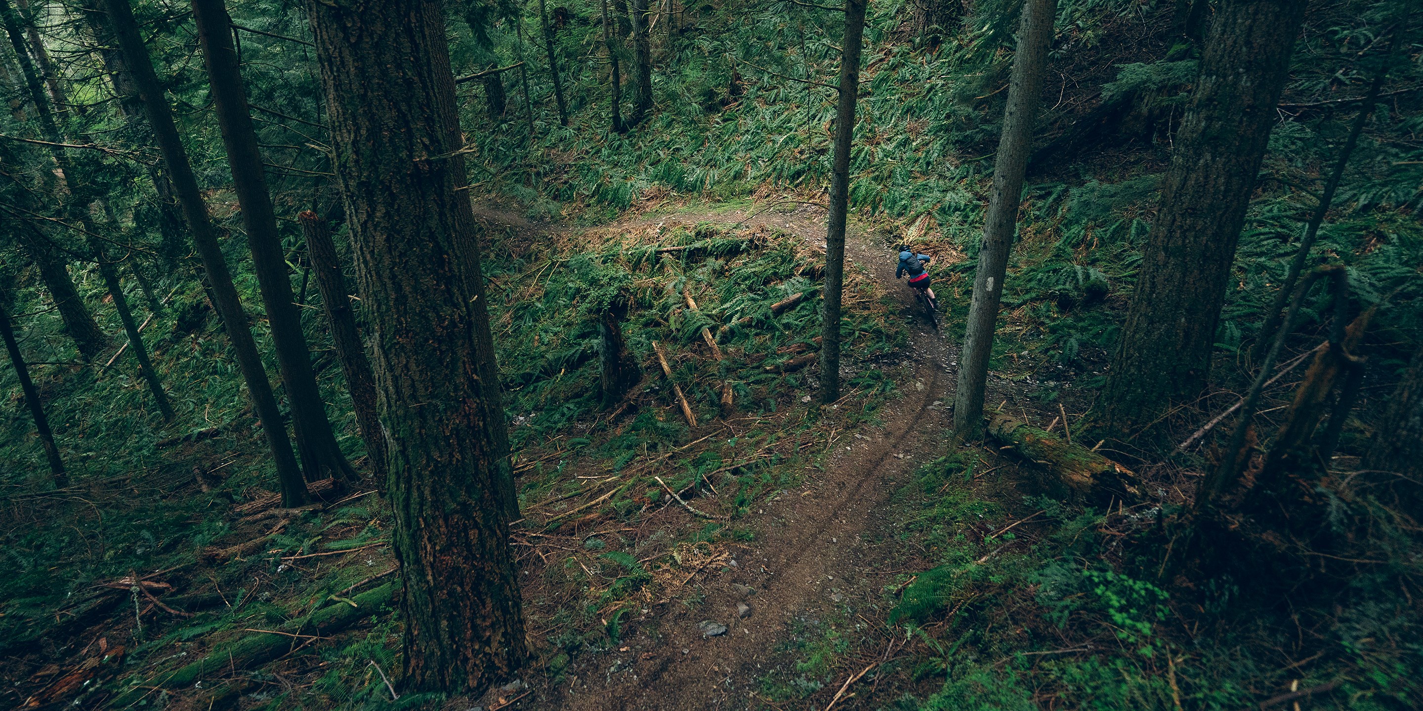 Overview shot of Britt Phelan shredding singletrack.