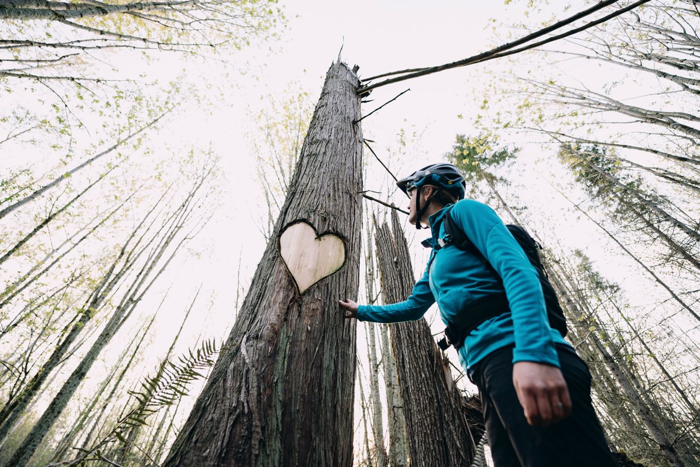 Britt Phelan looking at a tree with a heart carved in it.