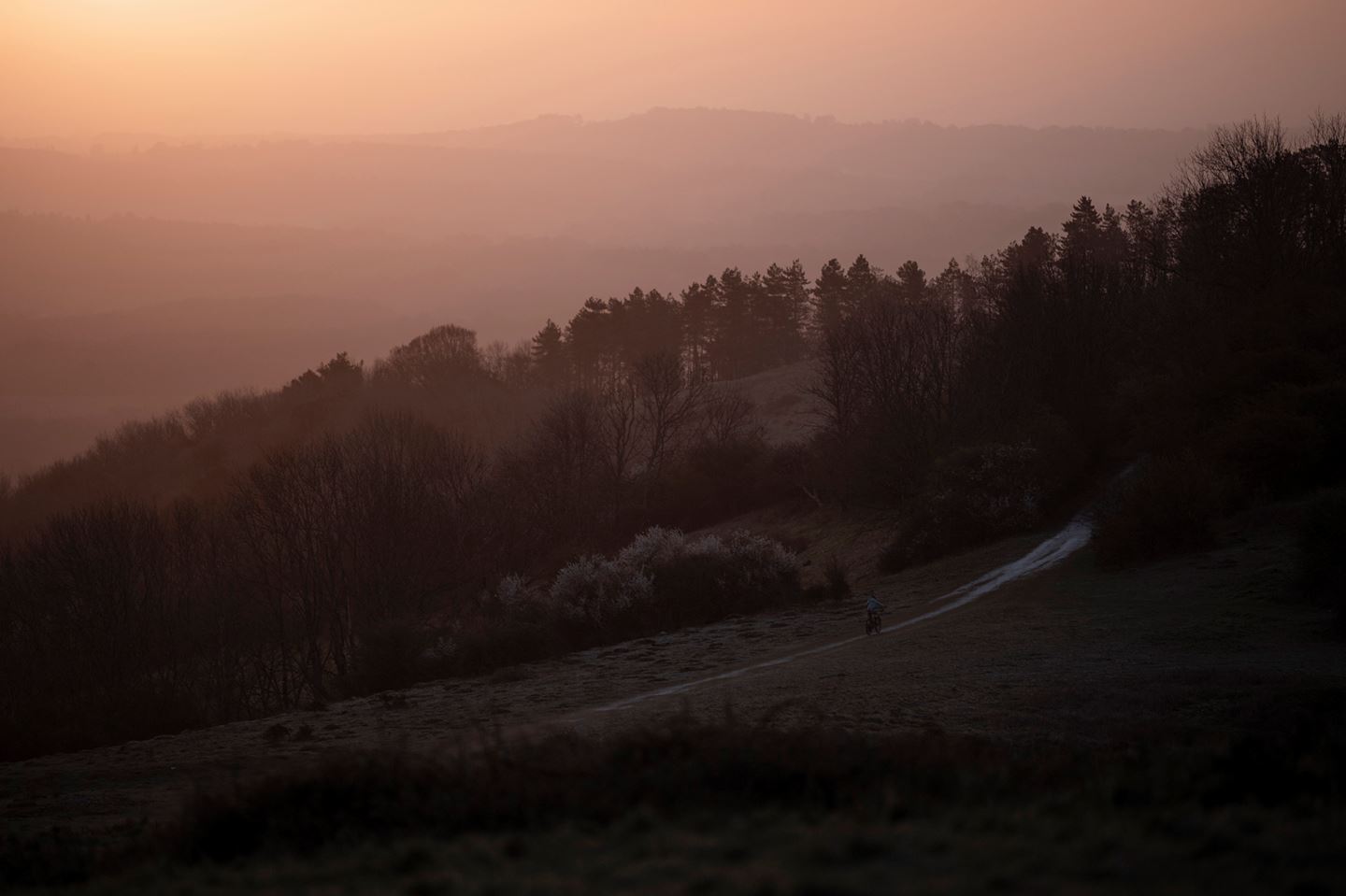 Morning Ride