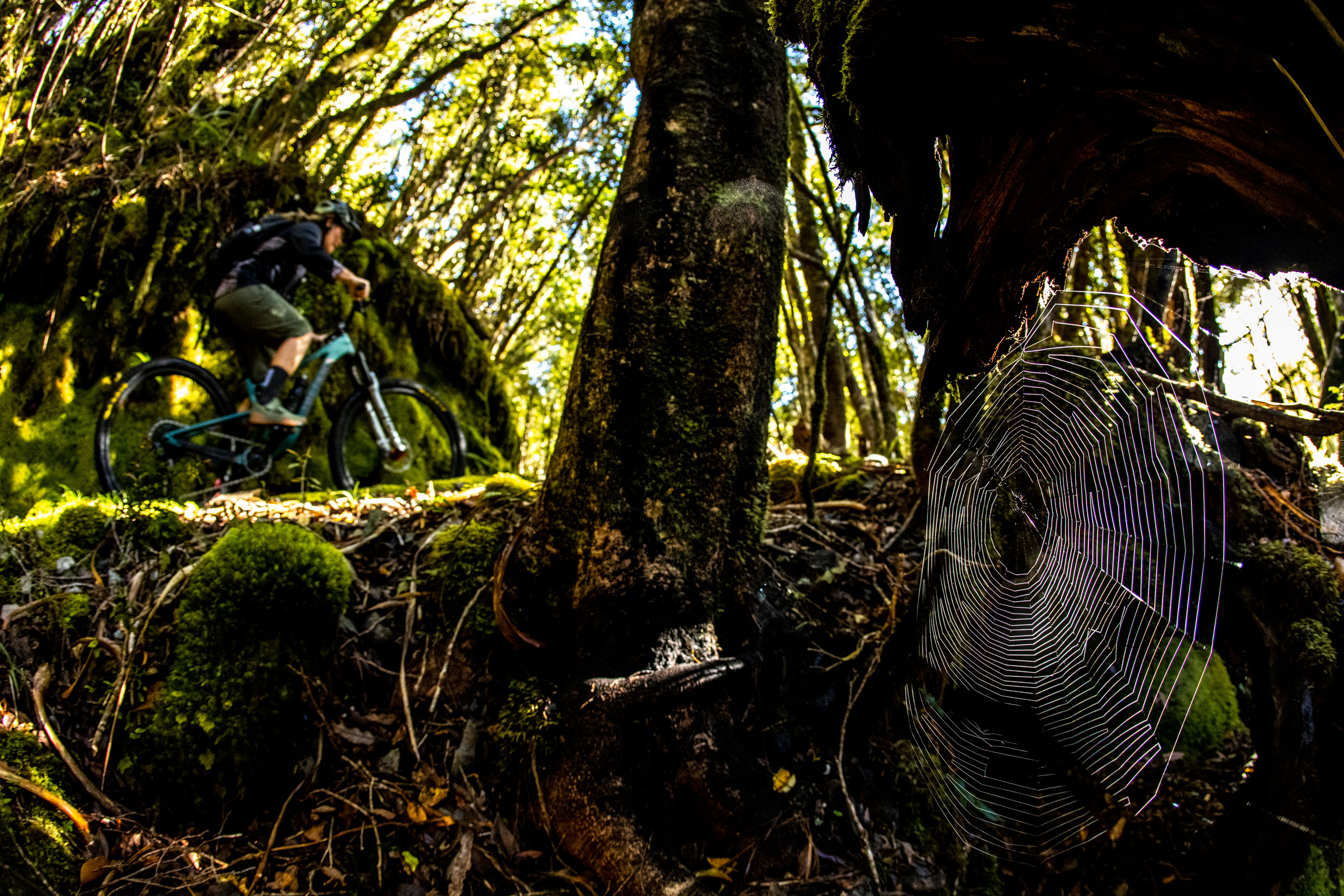 All Day - GX Eagle AXS - Paparoa | SRAM