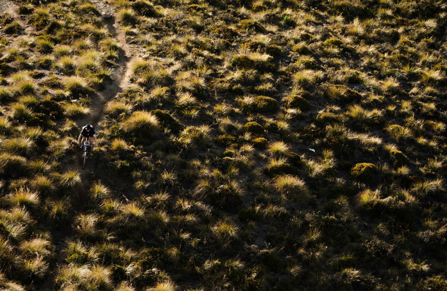 Ben Hildred descend a sub alpine singletrack through long grass