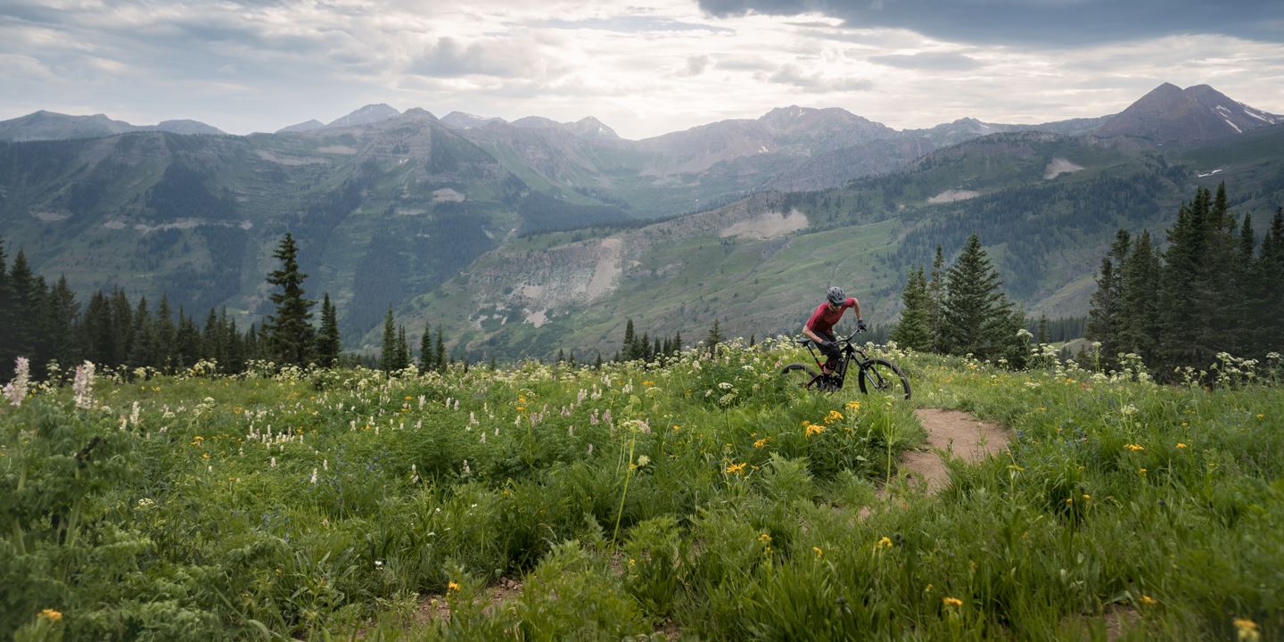 Rider climbing alpine singletrack