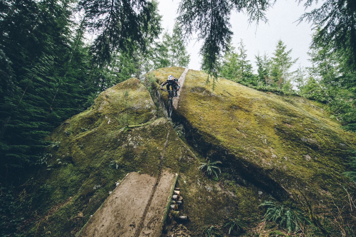 Zugehöriges Bild