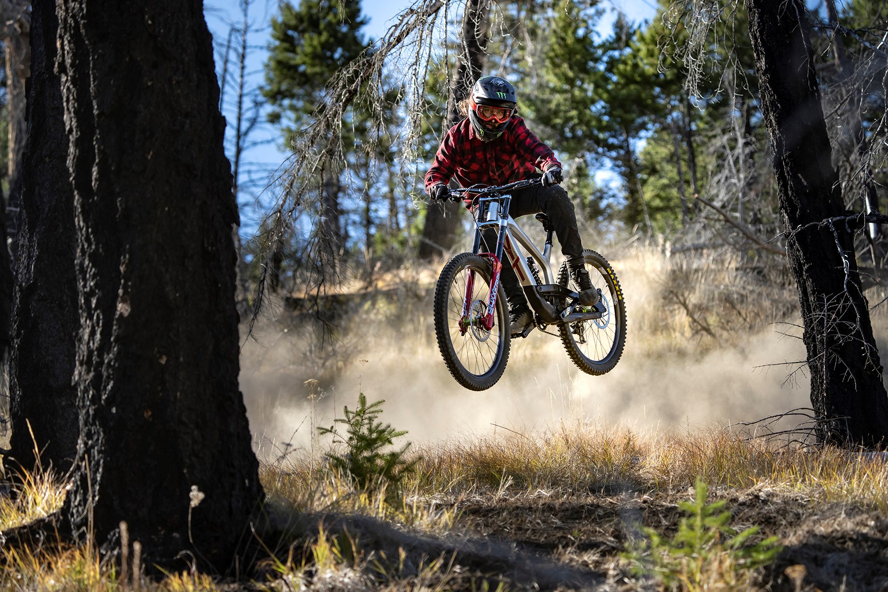 whip through the woods